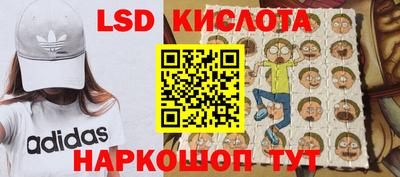 стаф Владивосток