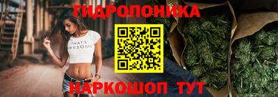стаф Владивосток