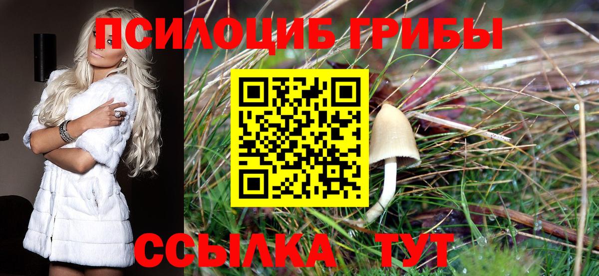Псилоцибиновые грибы Psilocybe  Вход с VPN  хочу наркоту  Ахтубинск 