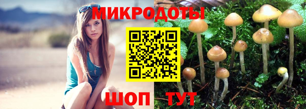 Галлюциногенные грибы GOLDEN TEACHER Ахтубинск